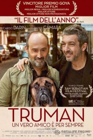 Truman - Un vero amico è per sempre streaming