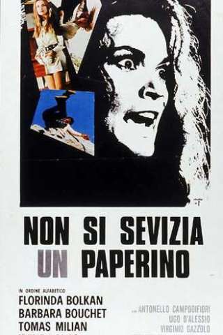 Non si sevizia un paperino streaming