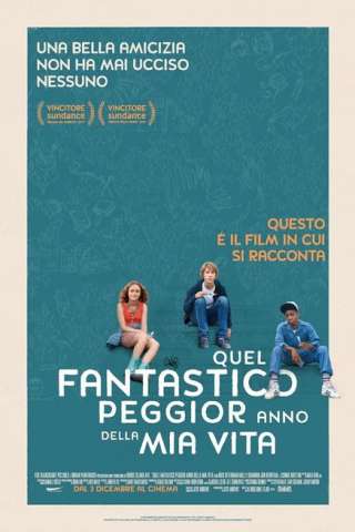 Quel fantastico peggior anno della mia vita streaming