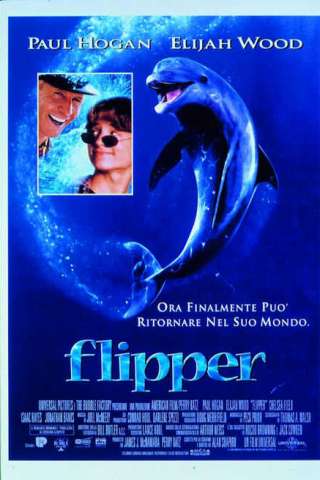 Flipper streaming