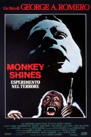 Monkey Shines - Esperimento nel terrore streaming