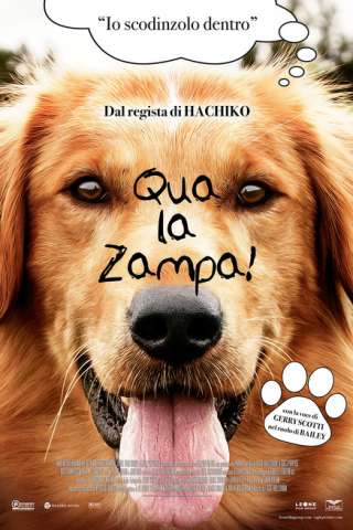 Qua la zampa! streaming