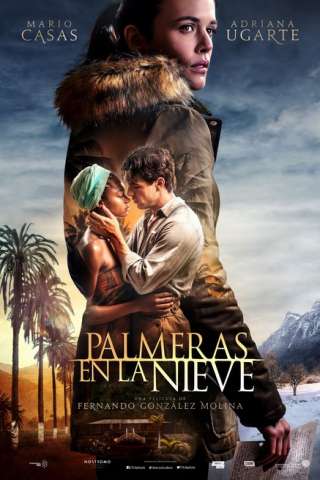 Palme nella neve streaming