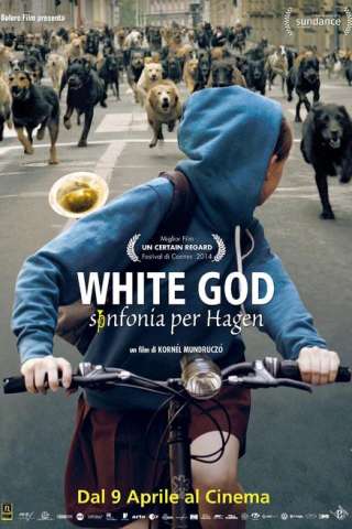 White God - Sinfonia per Hagen streaming