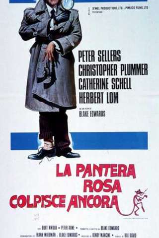 La Pantera Rosa colpisce ancora streaming