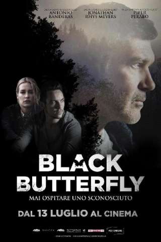 Black Butterfly streaming