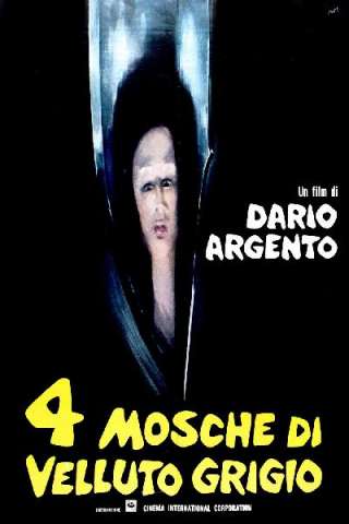 Quattro mosche di velluto grigio streaming