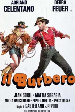 Il burbero streaming