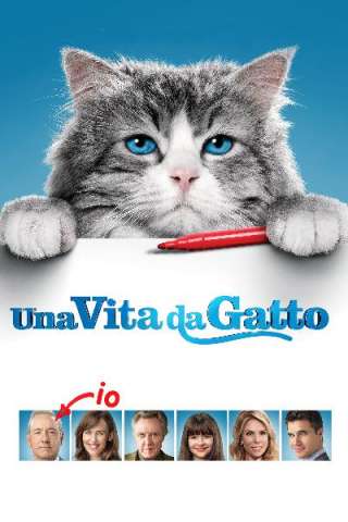 Nine Lives - Una vita da gatto streaming