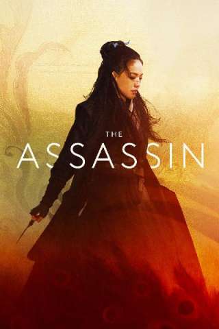 The Assassin streaming