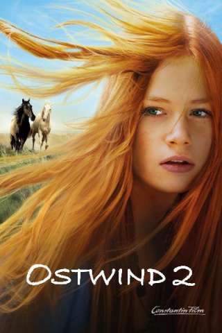 Windstorm 2 - Contro ogni regola streaming
