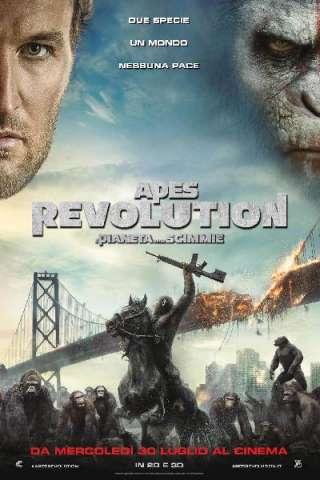 Apes Revolution - Il pianeta delle scimmie streaming
