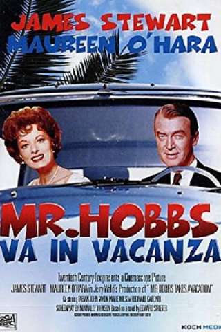 Mr. Hobbs va in vacanza streaming