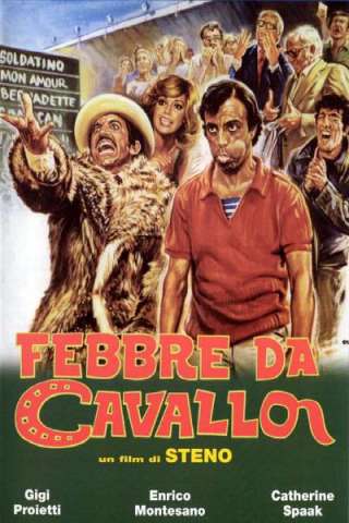 Febbre da cavallo streaming