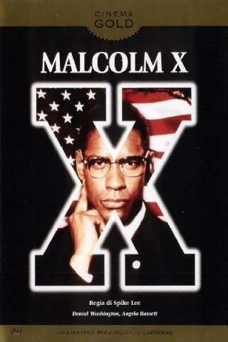 Malcolm X streaming