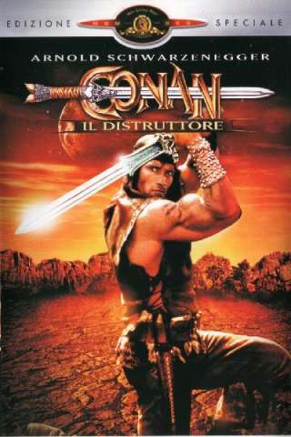 Conan il distruttore streaming