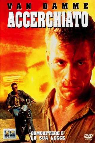 Accerchiato streaming