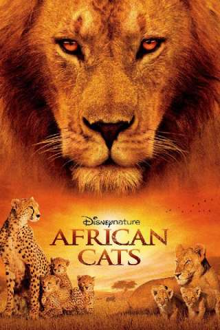 African Cats - Il regno del coraggio streaming
