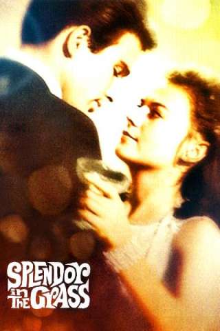 Splendore nell'erba streaming