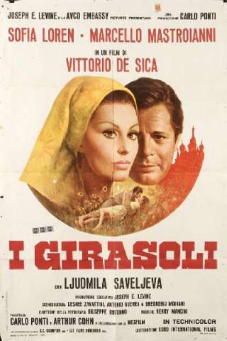 I girasoli streaming