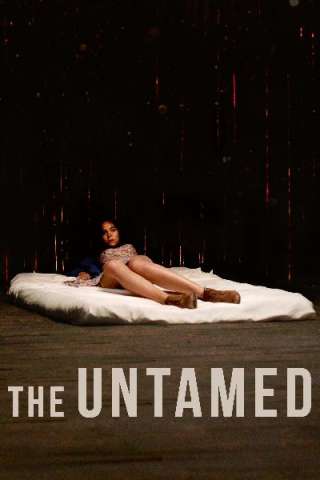 The Untamed streaming