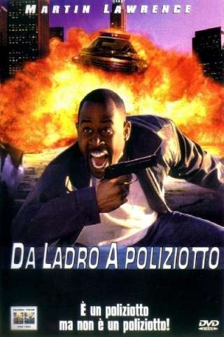 Da ladro a poliziotto streaming