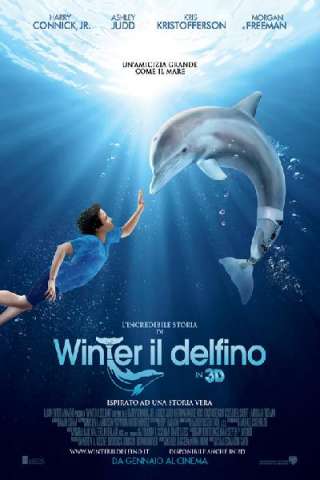 L'incredibile storia di Winter il delfino streaming