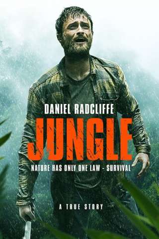 Jungle streaming