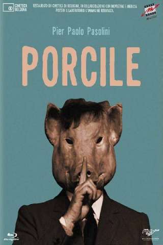 Porcile streaming