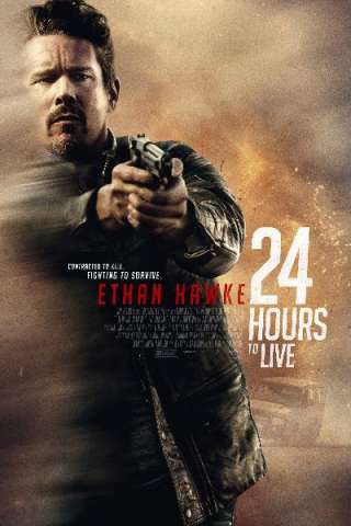Le ultime 24 ore streaming