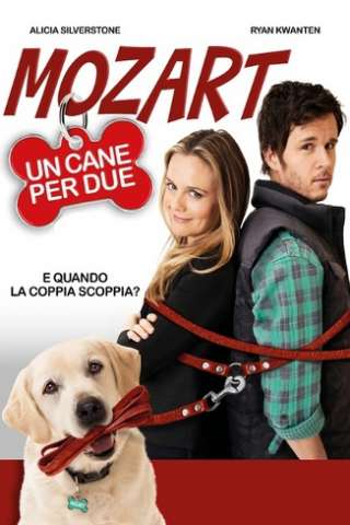 Mozart, un cane per due streaming