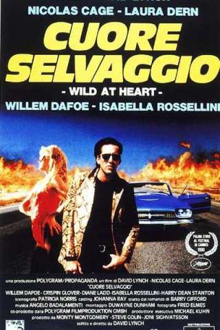 Cuore selvaggio streaming