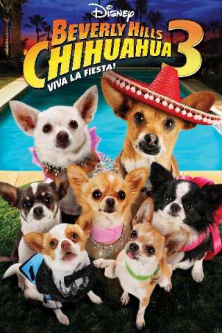 Beverly Hills Chihuahua 3 - Viva La Fiesta! streaming