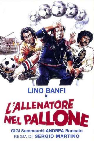L'allenatore nel pallone streaming