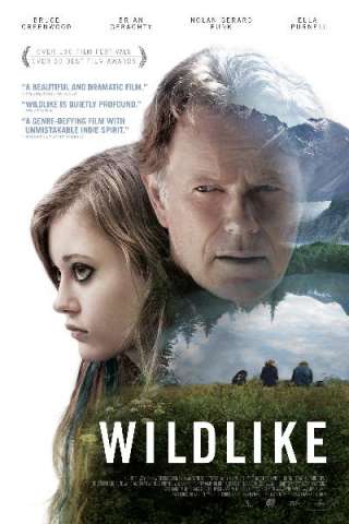 Wildlike streaming