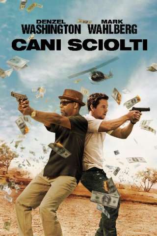 Cani sciolti streaming