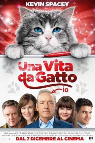 Una vita da gatto streaming