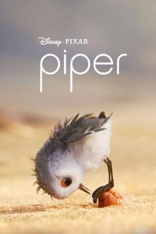 Piper streaming