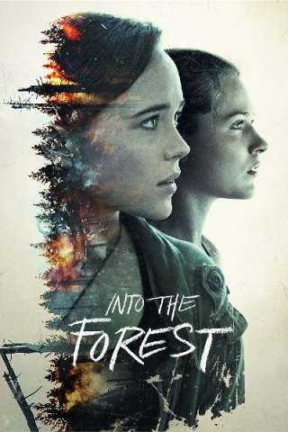 Into the Forest streaming
