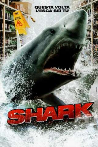 Shark 3D streaming