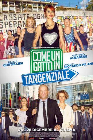 Come un gatto in tangenziale streaming