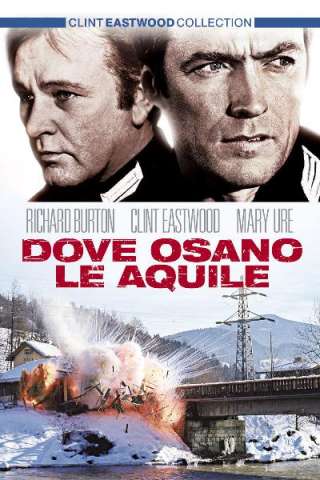 Dove osano le aquile streaming