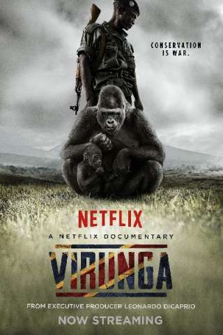 Virunga streaming