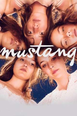 Mustang streaming
