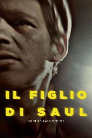 Il figlio di Saul streaming