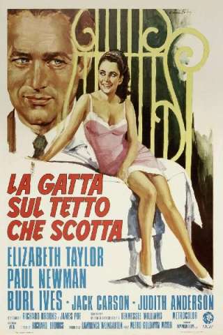 La gatta sul tetto che scotta streaming