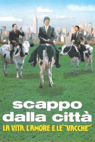 Scappo dalla città - La vita, l'amore e le vacche streaming