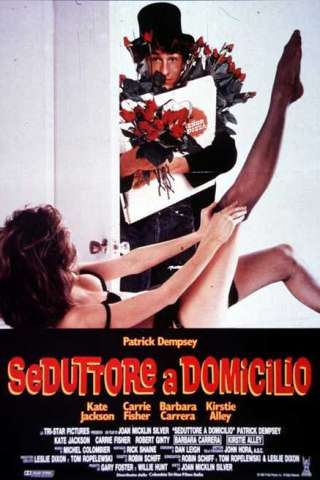Seduttore a domicilio streaming