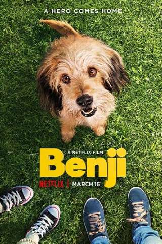 Beniamino - Benji streaming