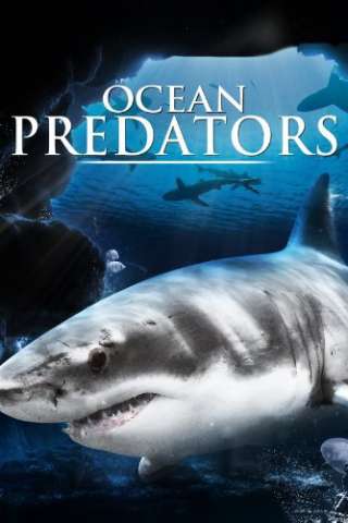Ocean Predators streaming